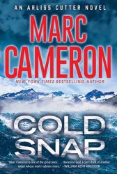 Cold Snap : An Action Packed Novel of Suspense