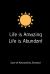 Life Is Amazing Life Is Abundant : 365 Day Law of Attraction Journal to Manifest Success and Happiness 6 X 9