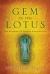 Gem in the Lotus : The Seeding of Indian Civilisation