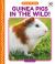 Guinea Pigs in the Wild!