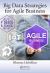 Big Data Strategies for Agile Business