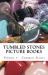 Tumbled Stones Picture Book Volume 1: Common Stones