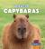 Capybaras