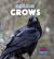 Crows