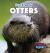 Otters